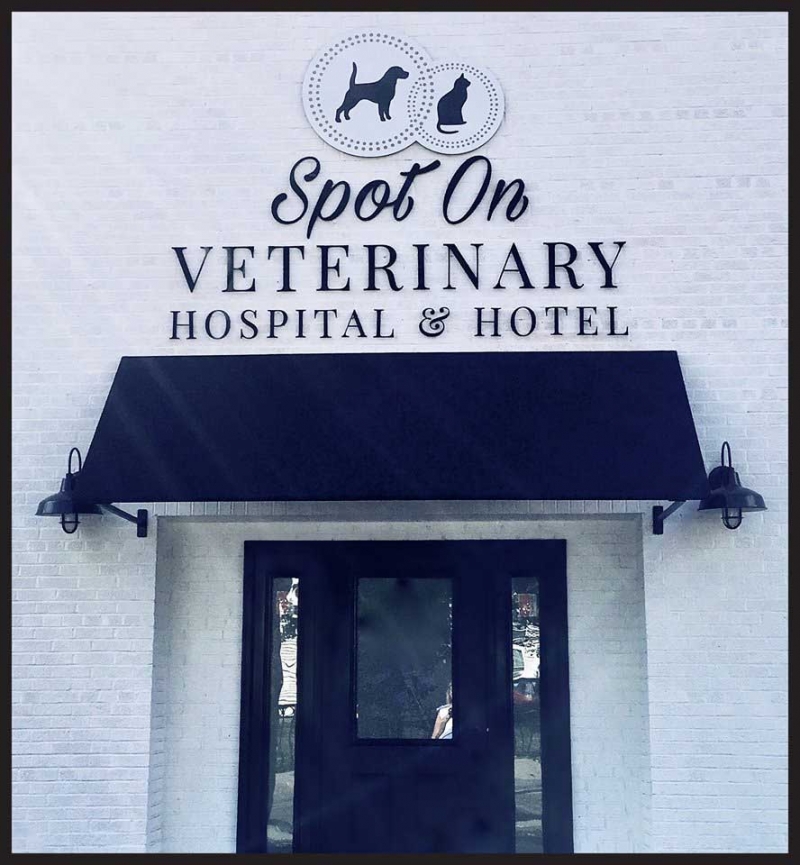 Spot On Veterinary Hospital And Hotel Acorn Design And Construction 3879