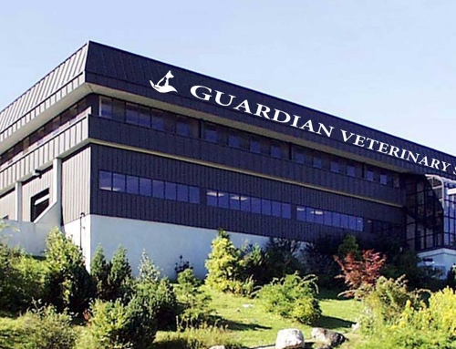 Guardian Veterinary Specialists