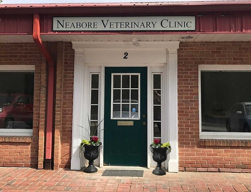 Neabore Veterinary Clinic