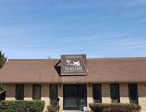 Reid Hill Veterinary Clinic