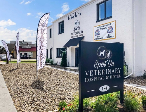 Spot On Veterinary Hospital